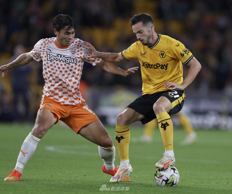 培养年轻的 培养年轻的